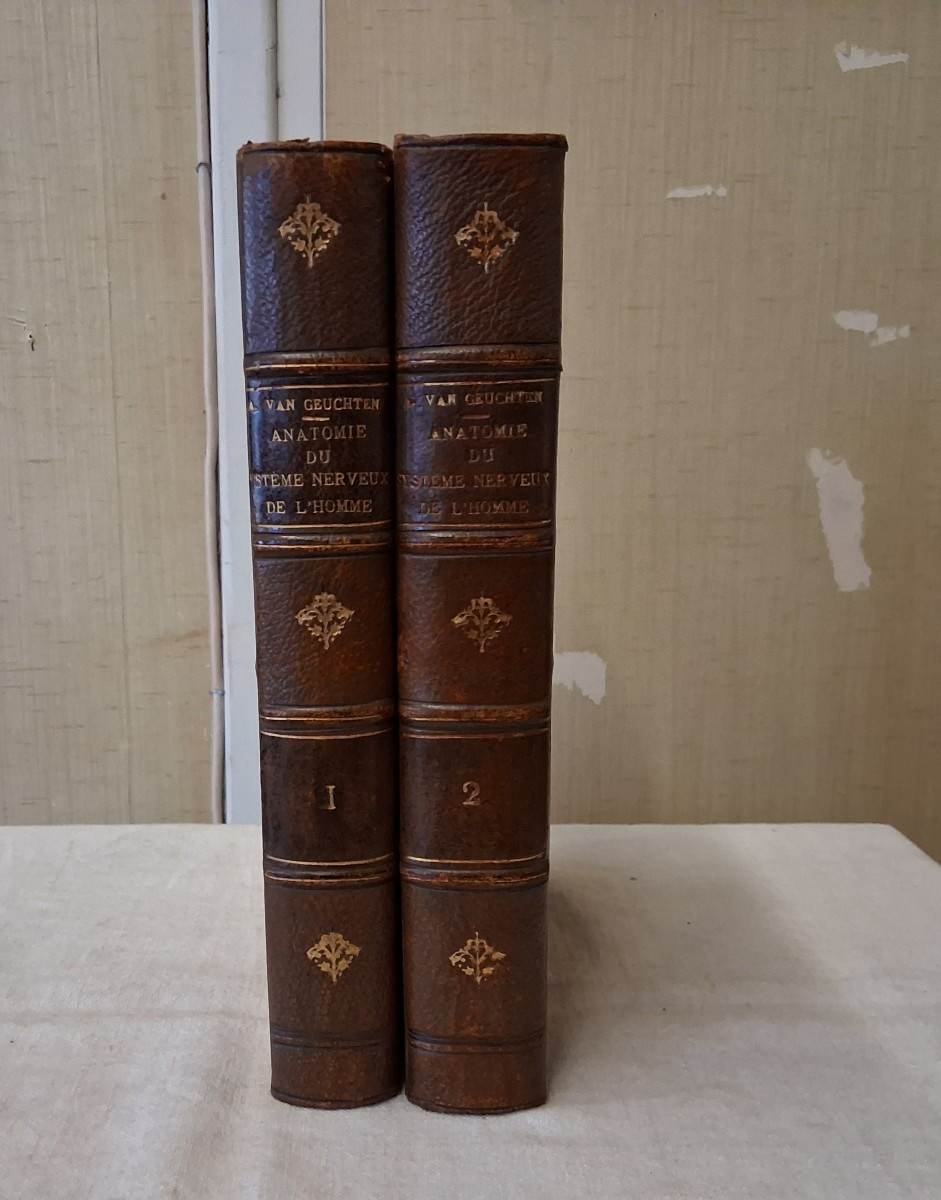 Anatomie de système nerveux de l'homme  / 1900