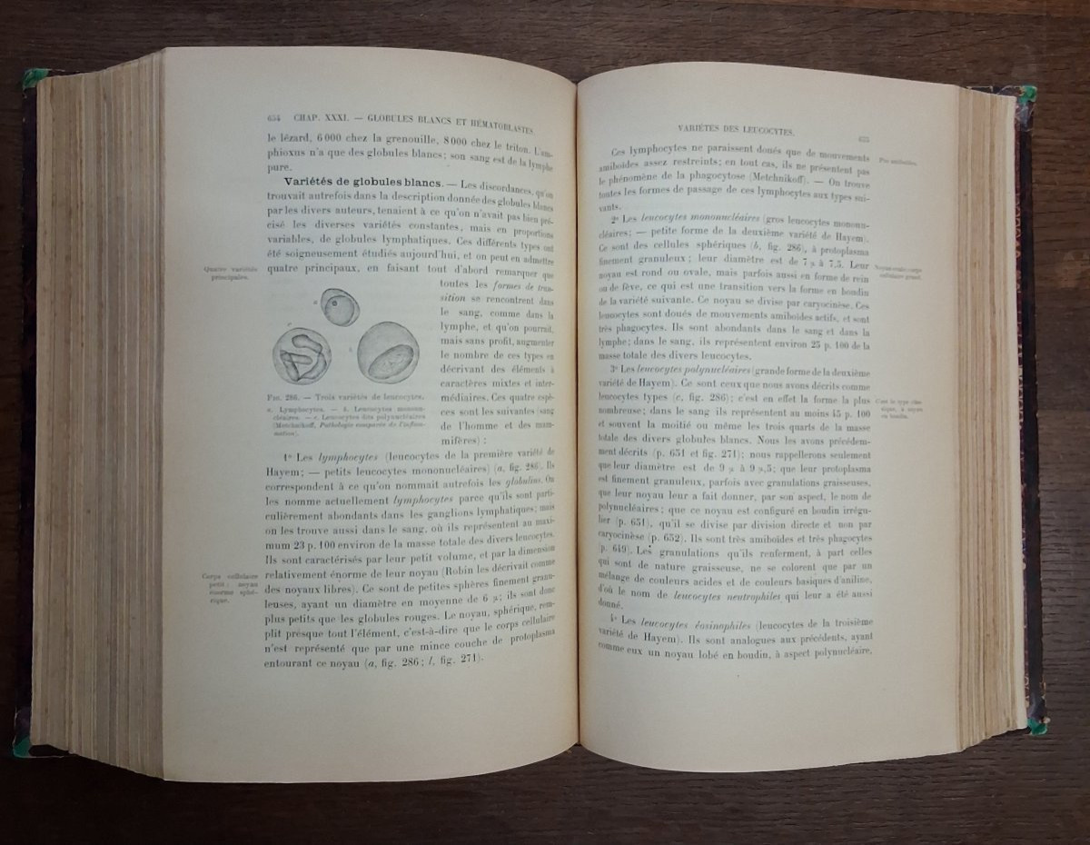 A Concise History / 1897-photo-3