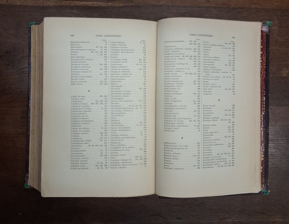 A Concise History / 1897-photo-5