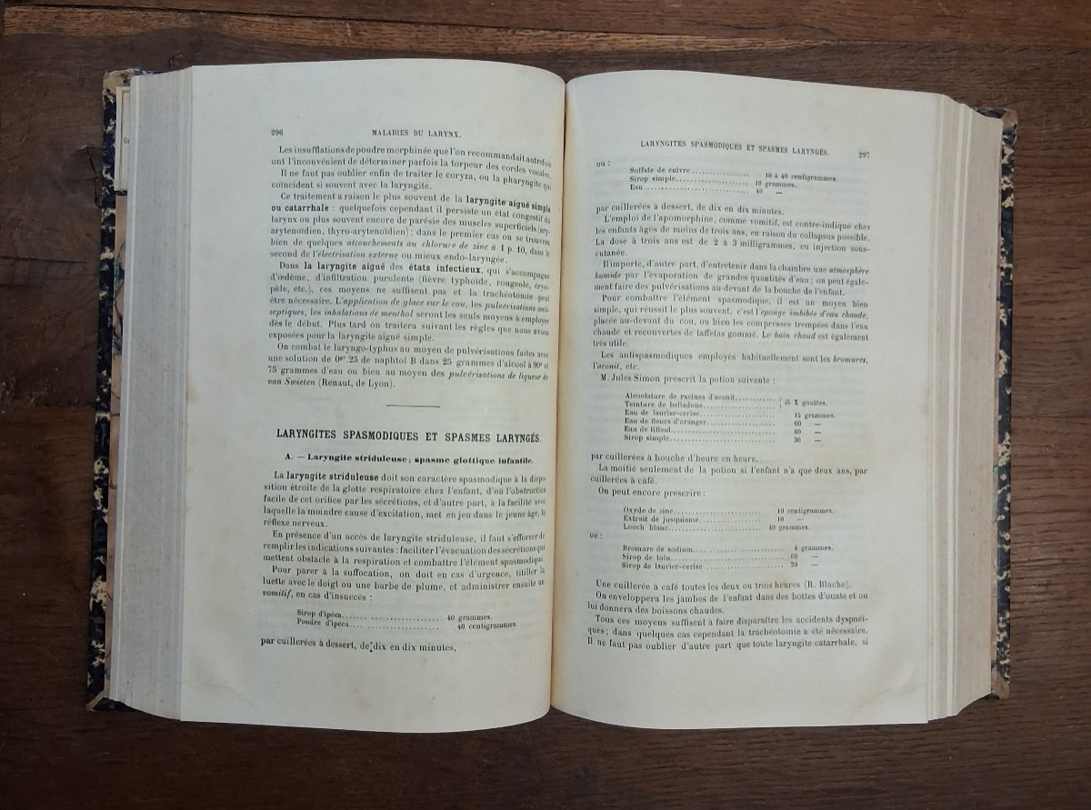 Elementary Treatise On Clinical Therapy / 1895-photo-4