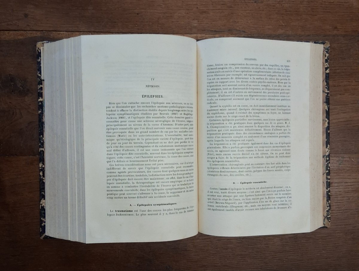 Elementary Treatise On Clinical Therapy / 1895-photo-3