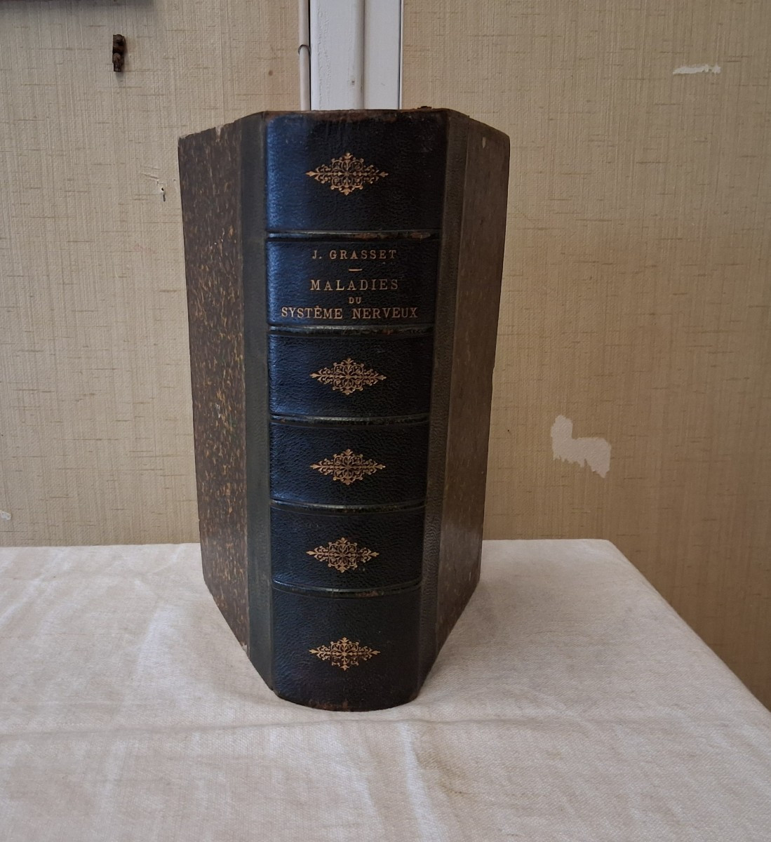 Practical Treatise On Diseases Of The Nervous System / 1881