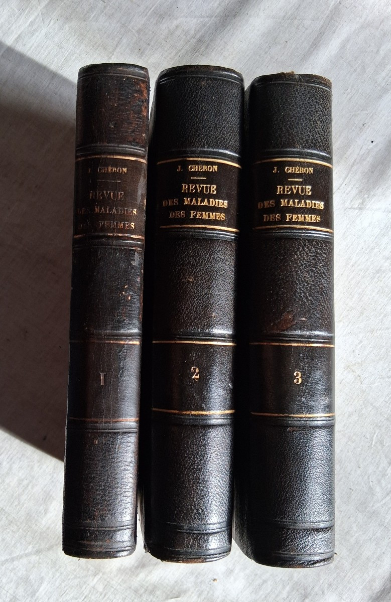 Revue Médico-Chirurgicale des Maladies des Femmes / 1880