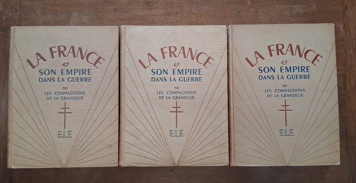 France And Its Empire In The War -photo-6