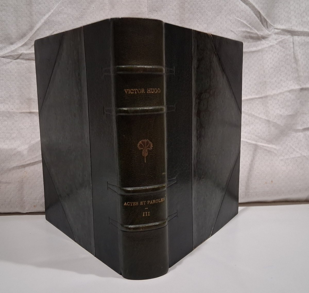 Complete Illustrated Works Of Victor Hugo / National Edition / 1885-1895/-photo-8