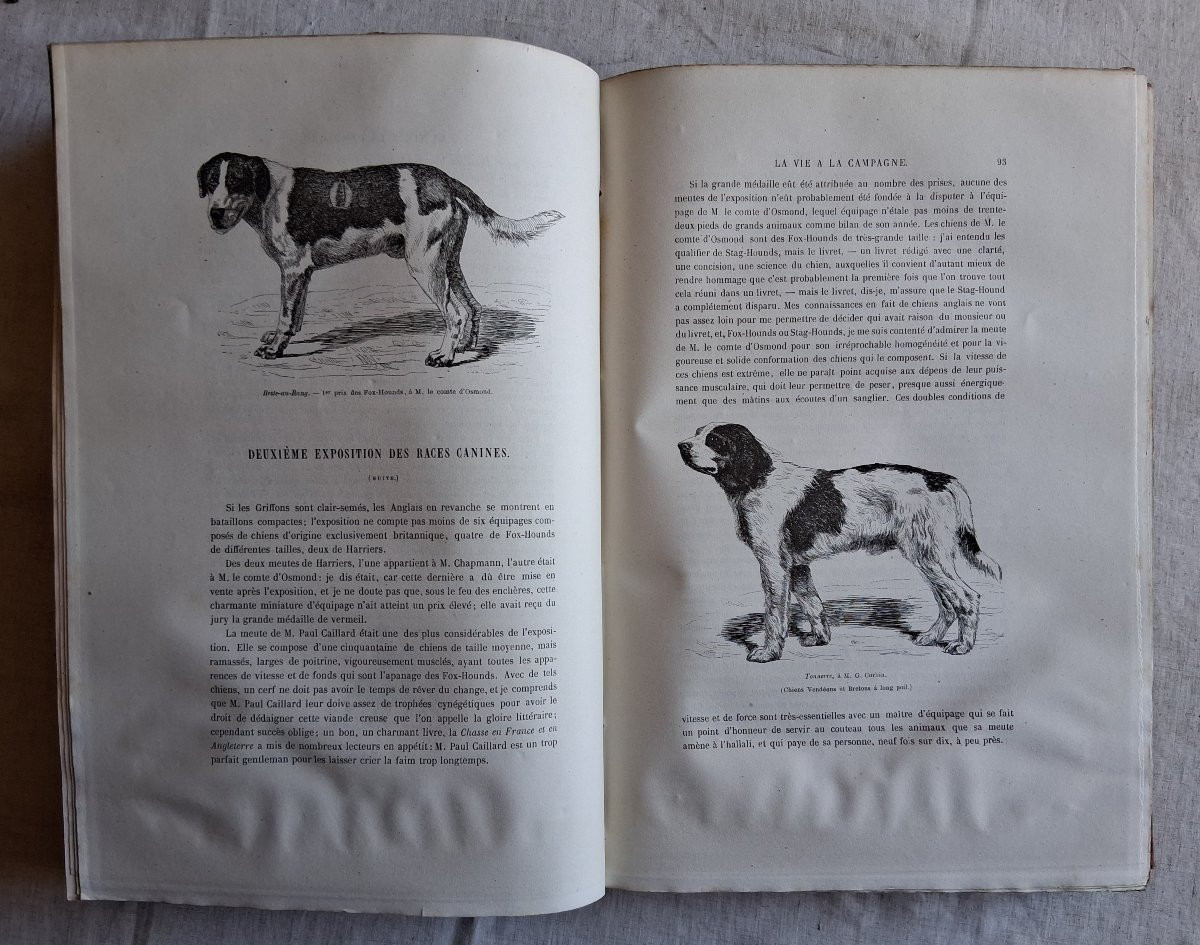 A Set Of 13 Volumes / Life In The Country-photo-4