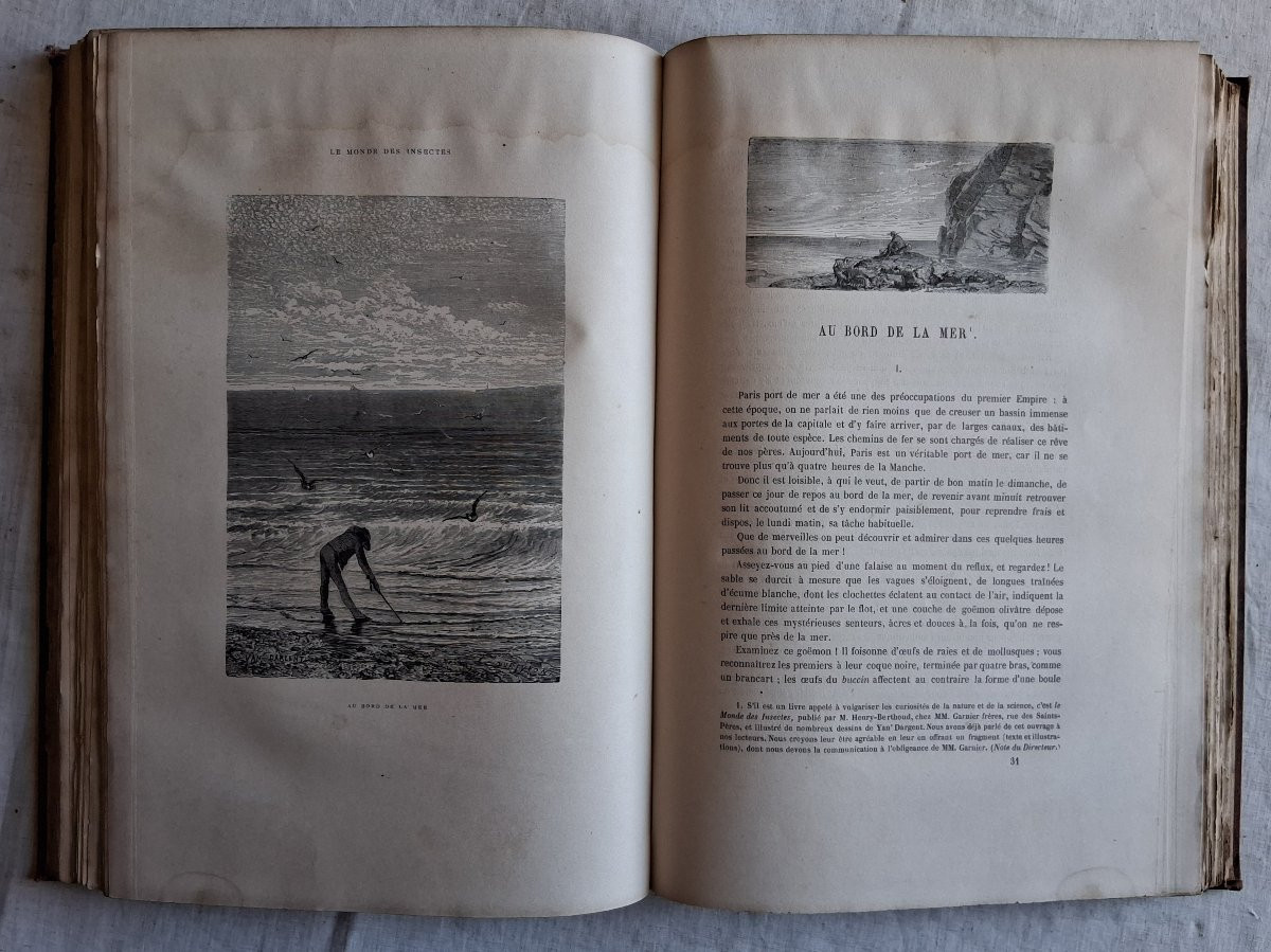 A Set Of 13 Volumes / Life In The Country-photo-7