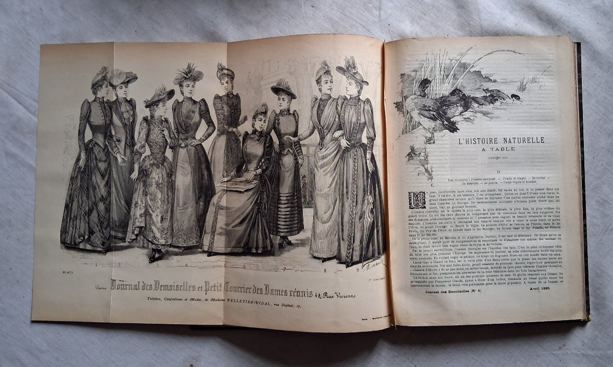 Ensemble de 12 livres / Le journal des Demoiselles -photo-3