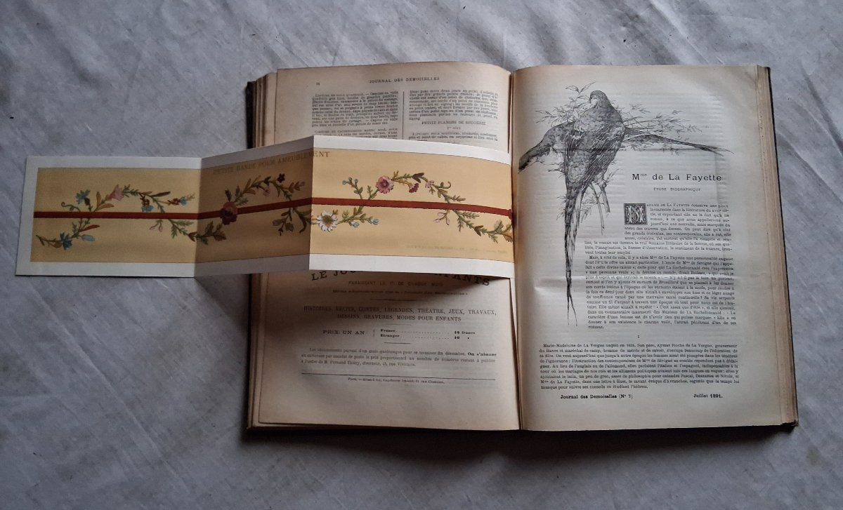 Ensemble de 12 livres / Le journal des Demoiselles -photo-7