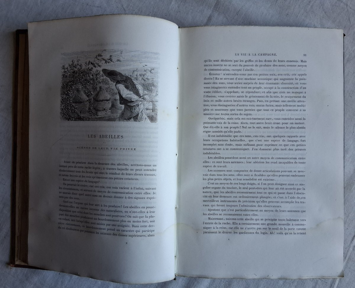 Ensemble de 13 volumes  /  La vie à la campagne / XIXème-photo-4