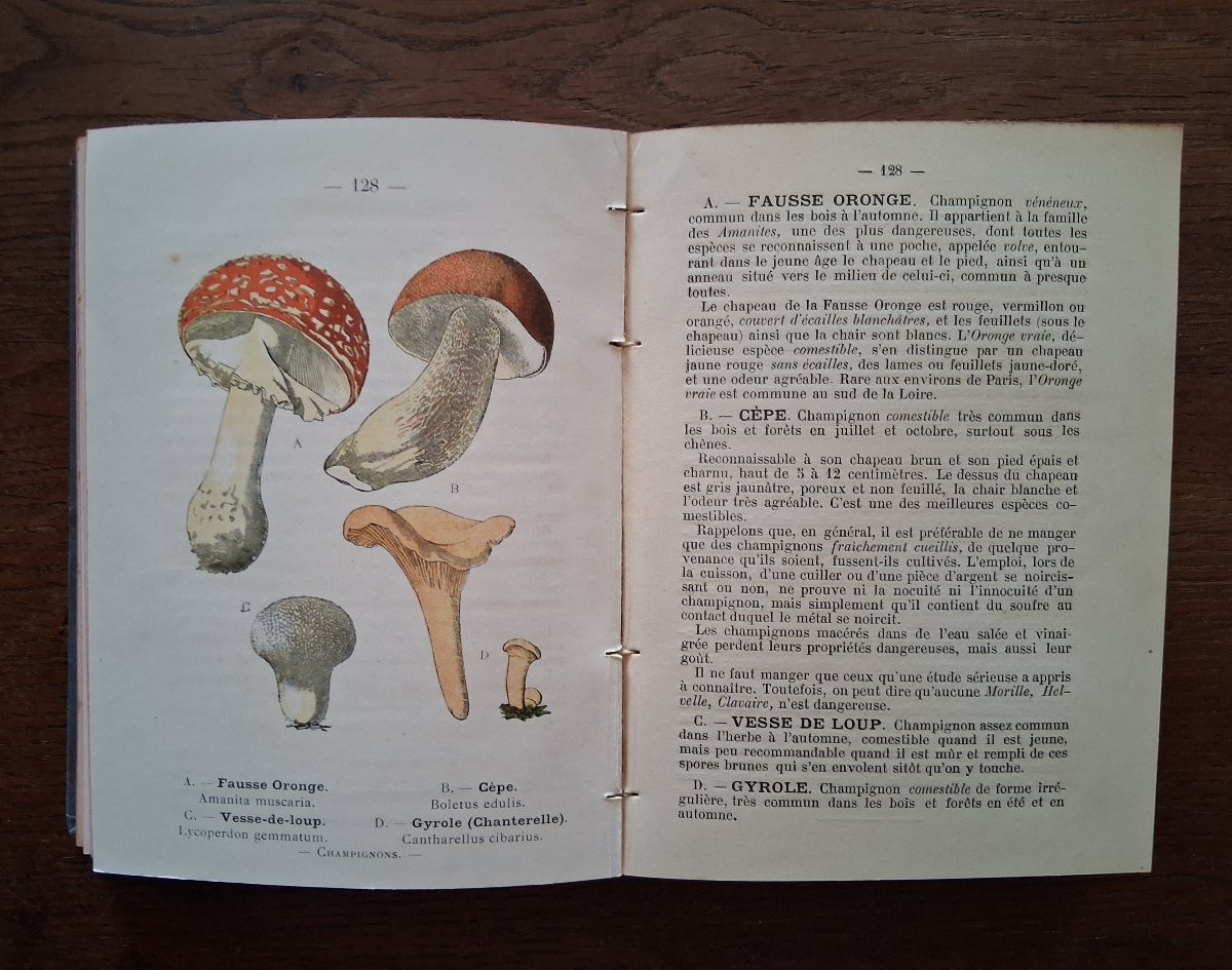 Pocket Plant Atlas By Siélain / 1904-photo-4