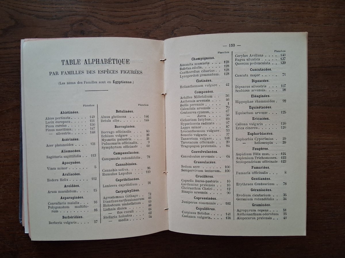 Pocket Plant Atlas By Siélain / 1904-photo-1