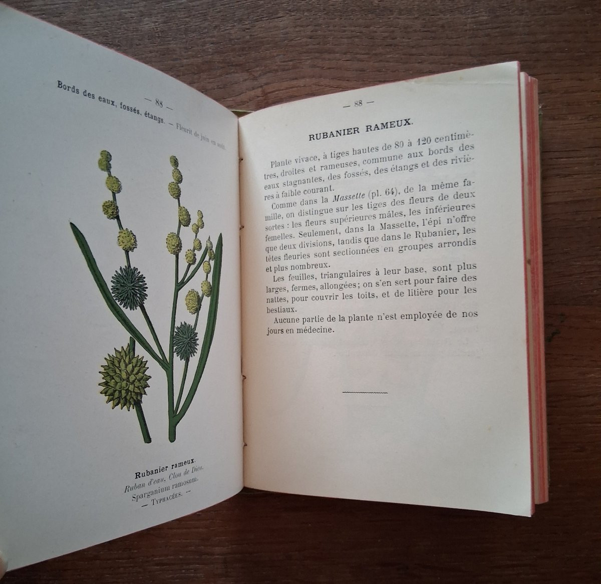 Pocket Plant Atlas By Siélain / 1904-photo-4