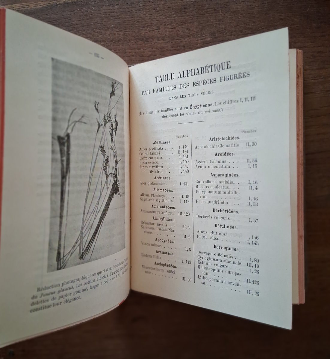 Pocket Plant Atlas By Siélain / 1904-photo-7