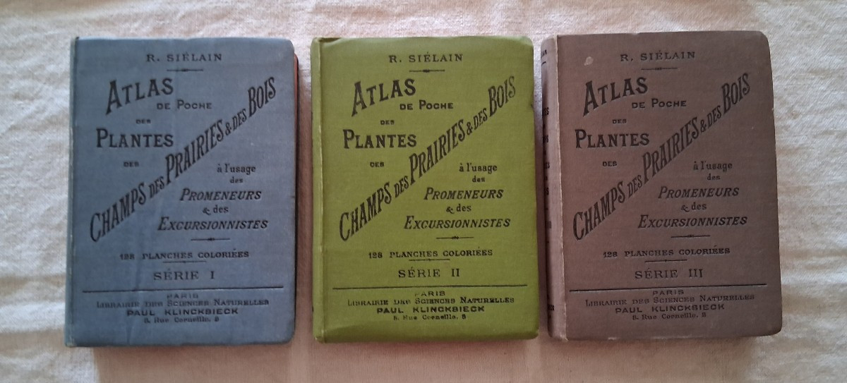 Pocket Plant Atlas By Siélain / 1904
