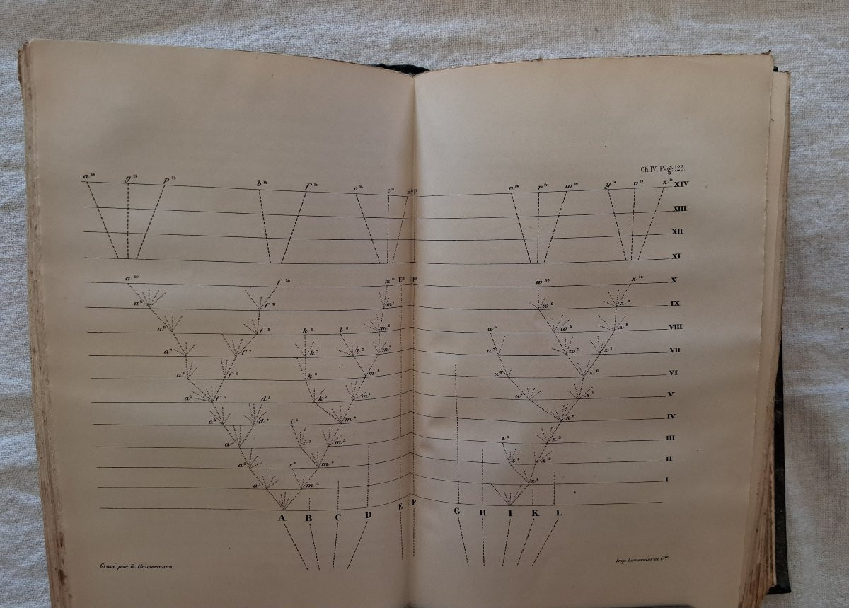 L'origine des espèces par Charles Darwin  /  1896-photo-3