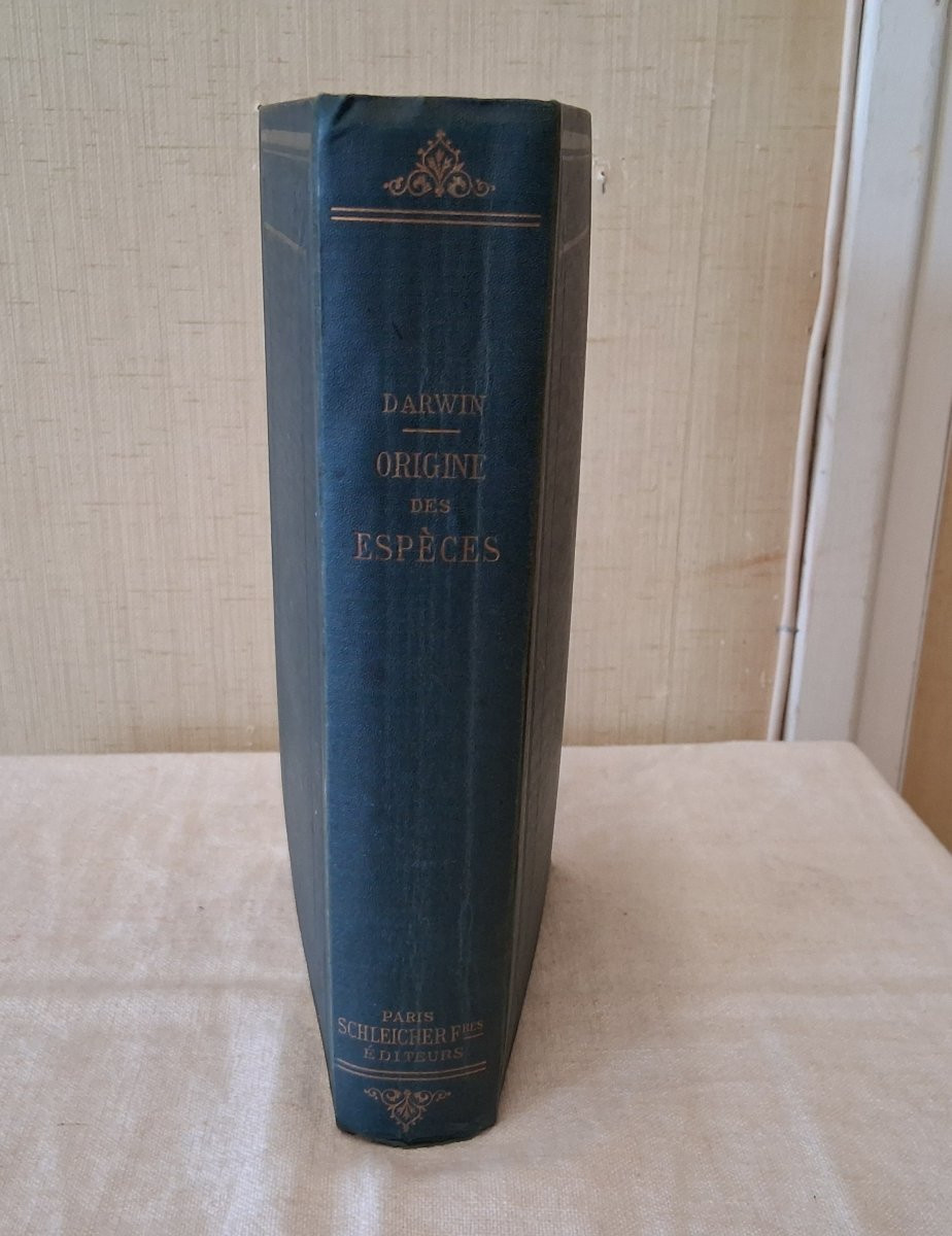 L'origine des espèces par Charles Darwin  /  1896-photo-5