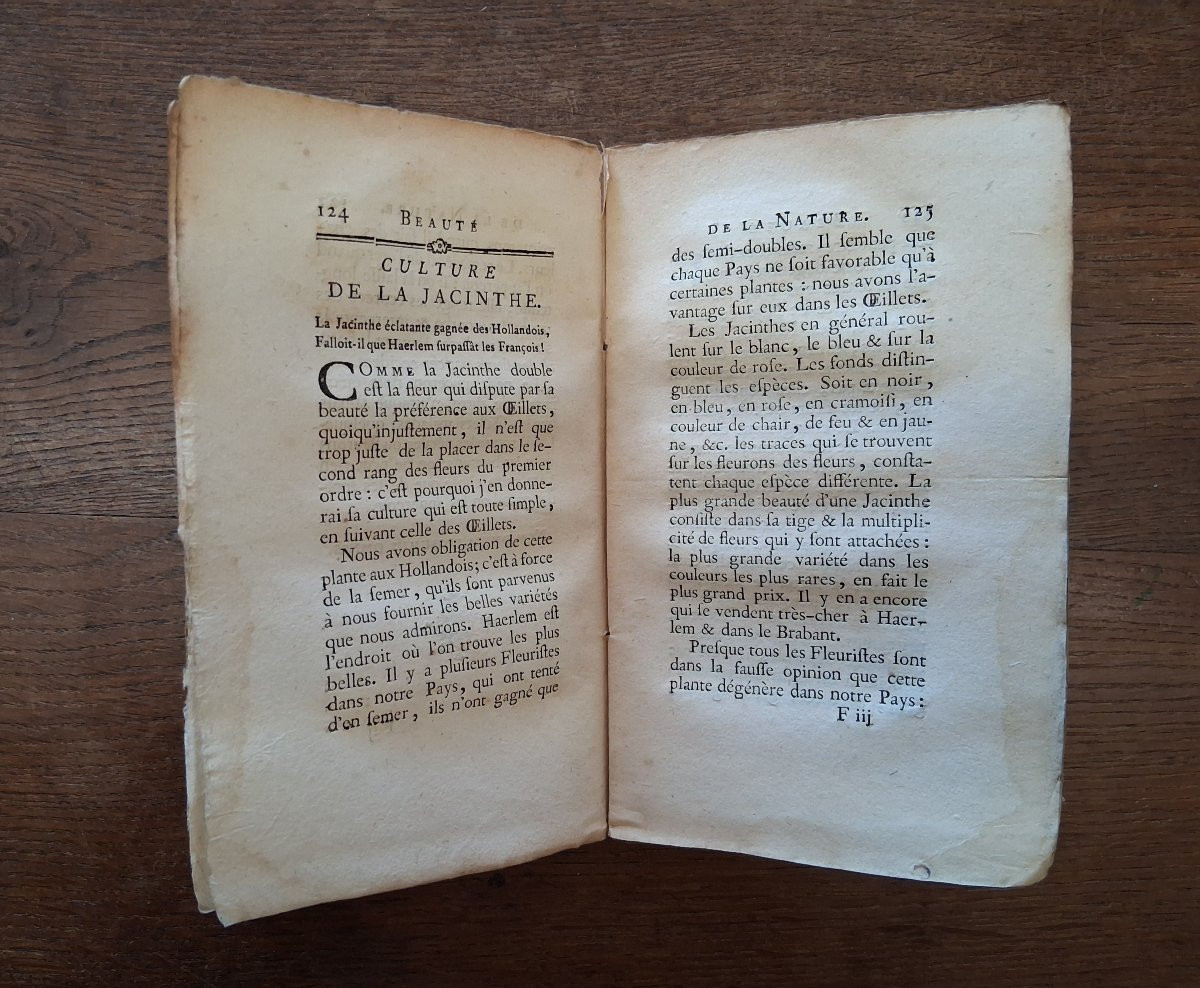 Beauté de la nature ou Fleurimanie raisonnée  / 1775-photo-4