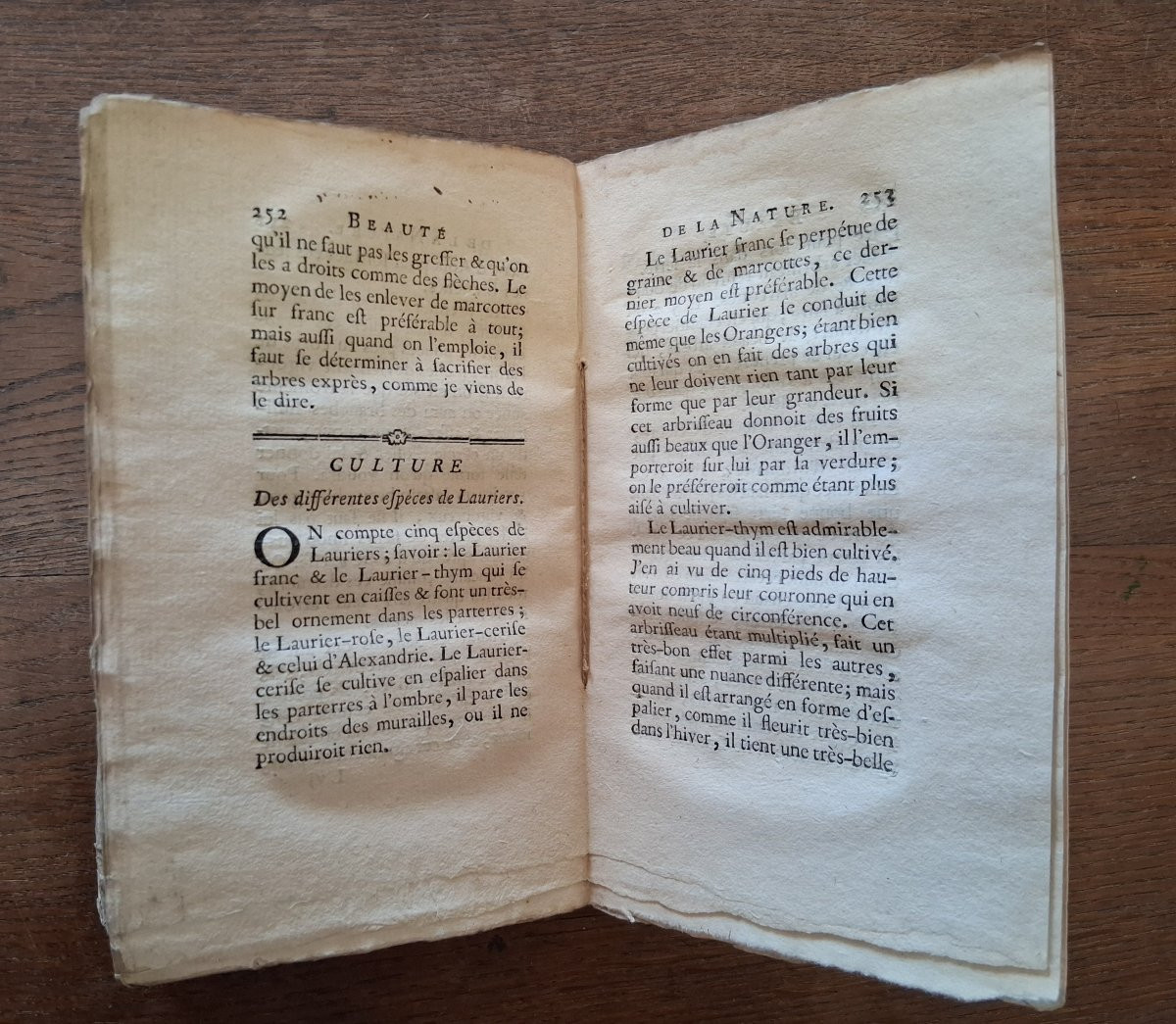 Beauté de la nature ou Fleurimanie raisonnée  / 1775-photo-2