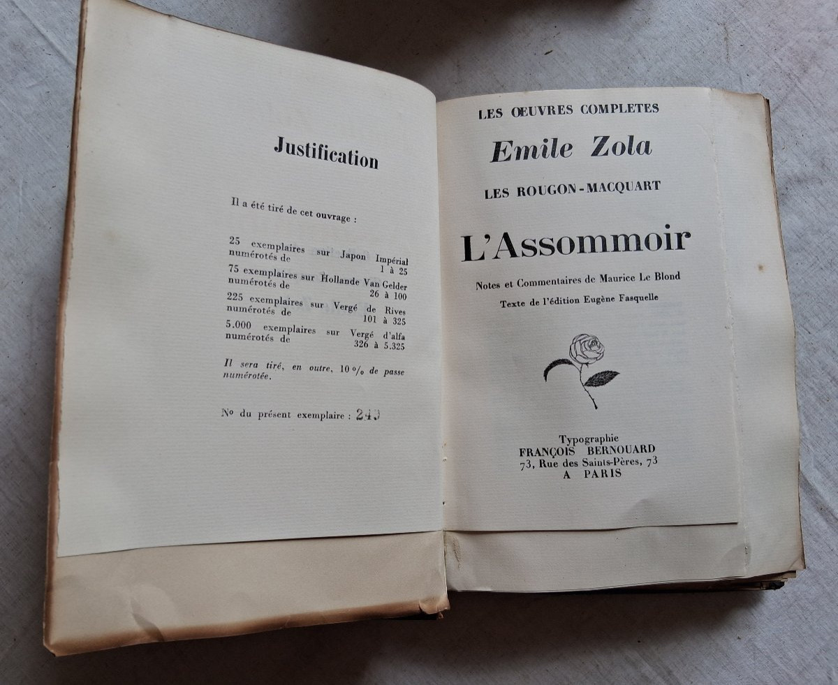 Emile Zola / Complete Works-photo-2