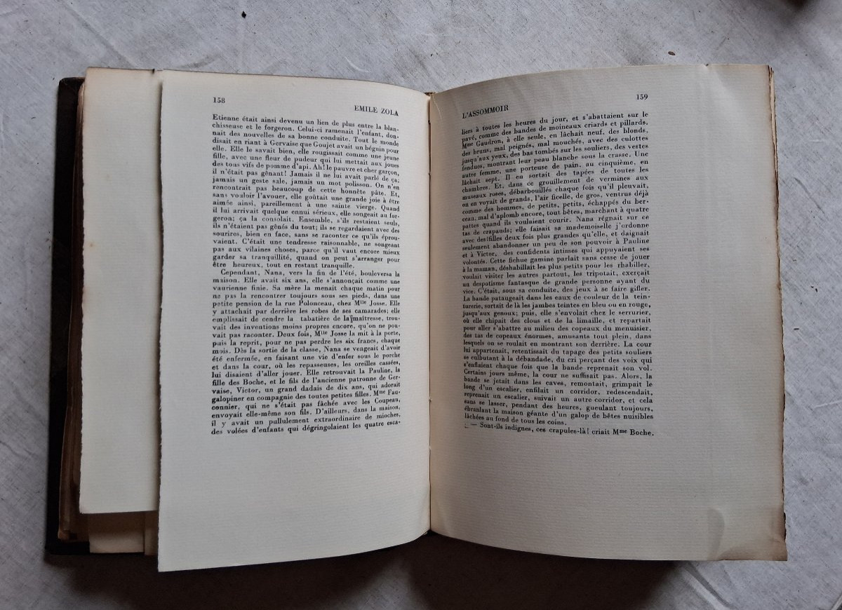 Emile Zola / Complete Works-photo-7