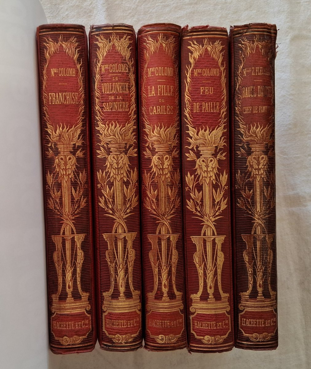 Ensemble de 5 Livres  / 1875-1881-photo-8
