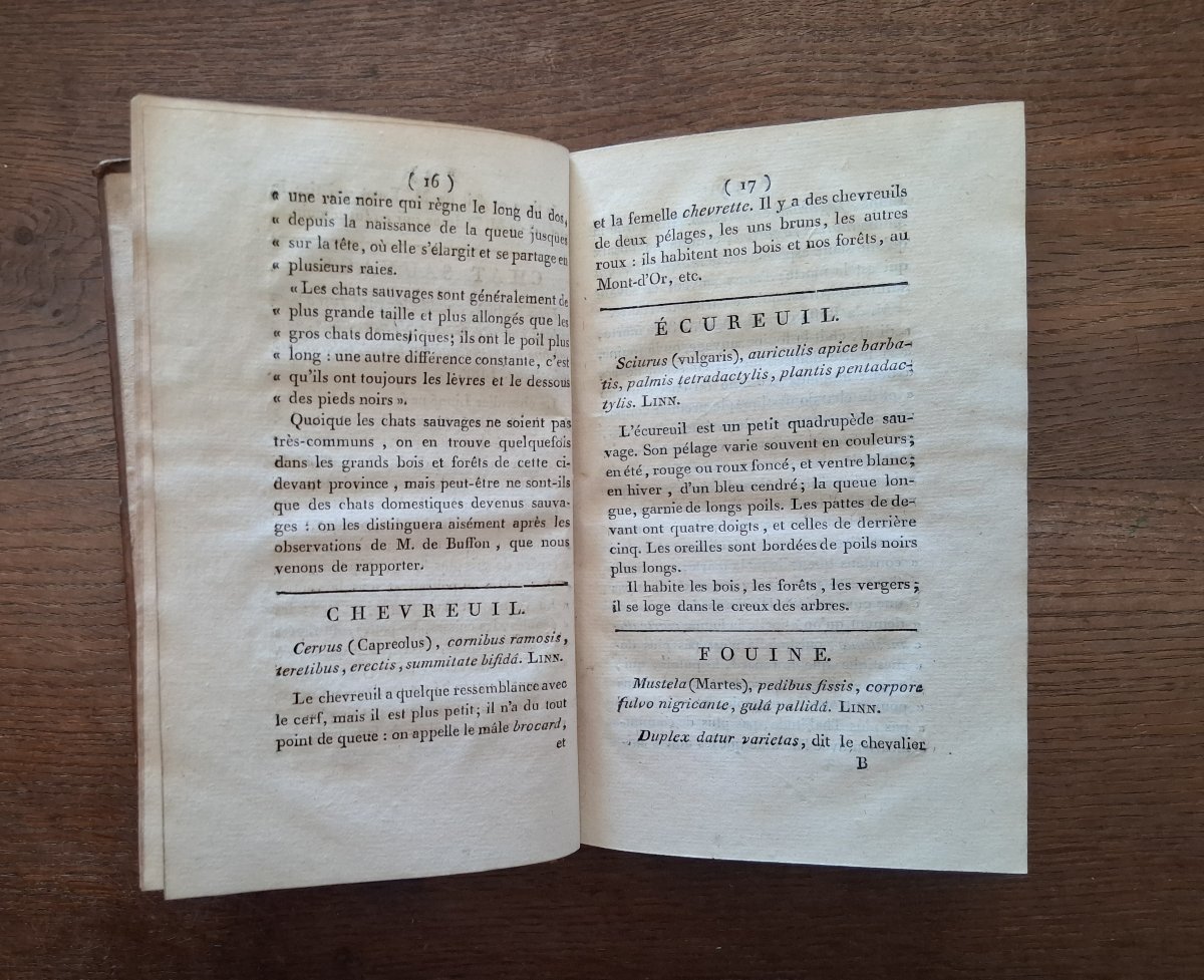 Essai zoologique sur l'Auvergne ou histoire naturelle  par Delarbre  / 1798-photo-2