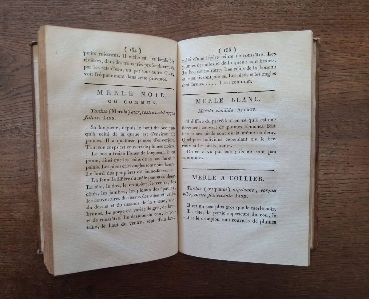 Essai zoologique sur l'Auvergne ou histoire naturelle  par Delarbre  / 1798-photo-3