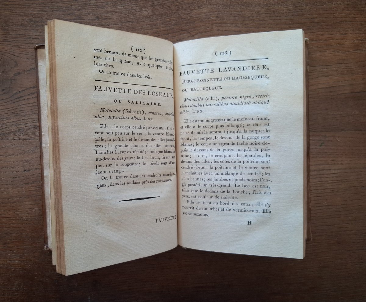 Essai zoologique sur l'Auvergne ou histoire naturelle  par Delarbre  / 1798-photo-4