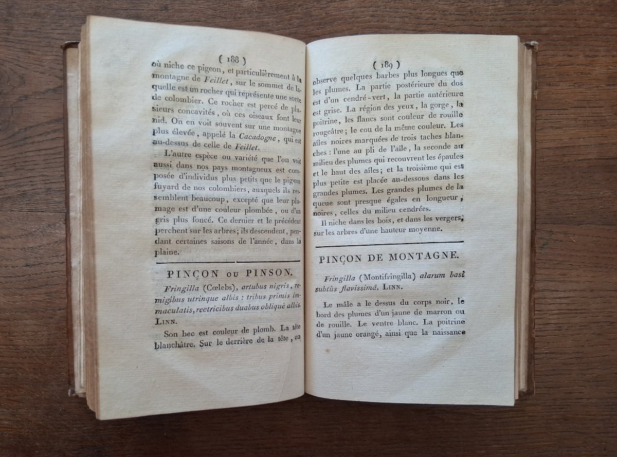 Essai zoologique sur l'Auvergne ou histoire naturelle  par Delarbre  / 1798-photo-1