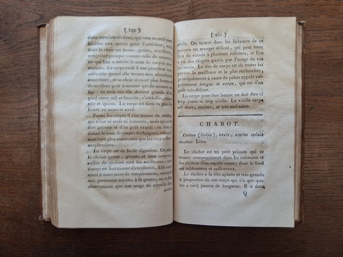 Essai zoologique sur l'Auvergne ou histoire naturelle  par Delarbre  / 1798-photo-4