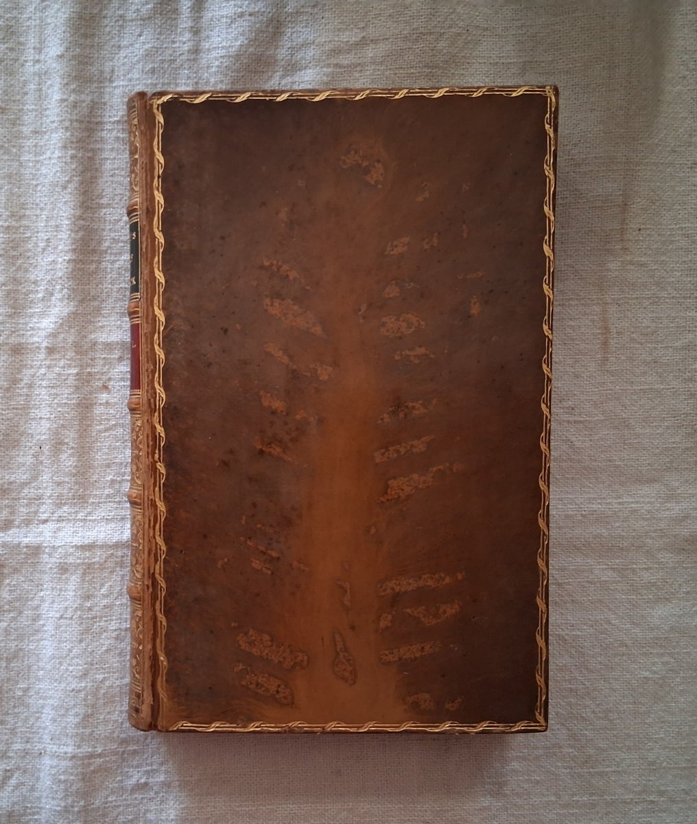 The Life Of Samuel Johnson, Ll.d., By James Boswell  /  1876-photo-8