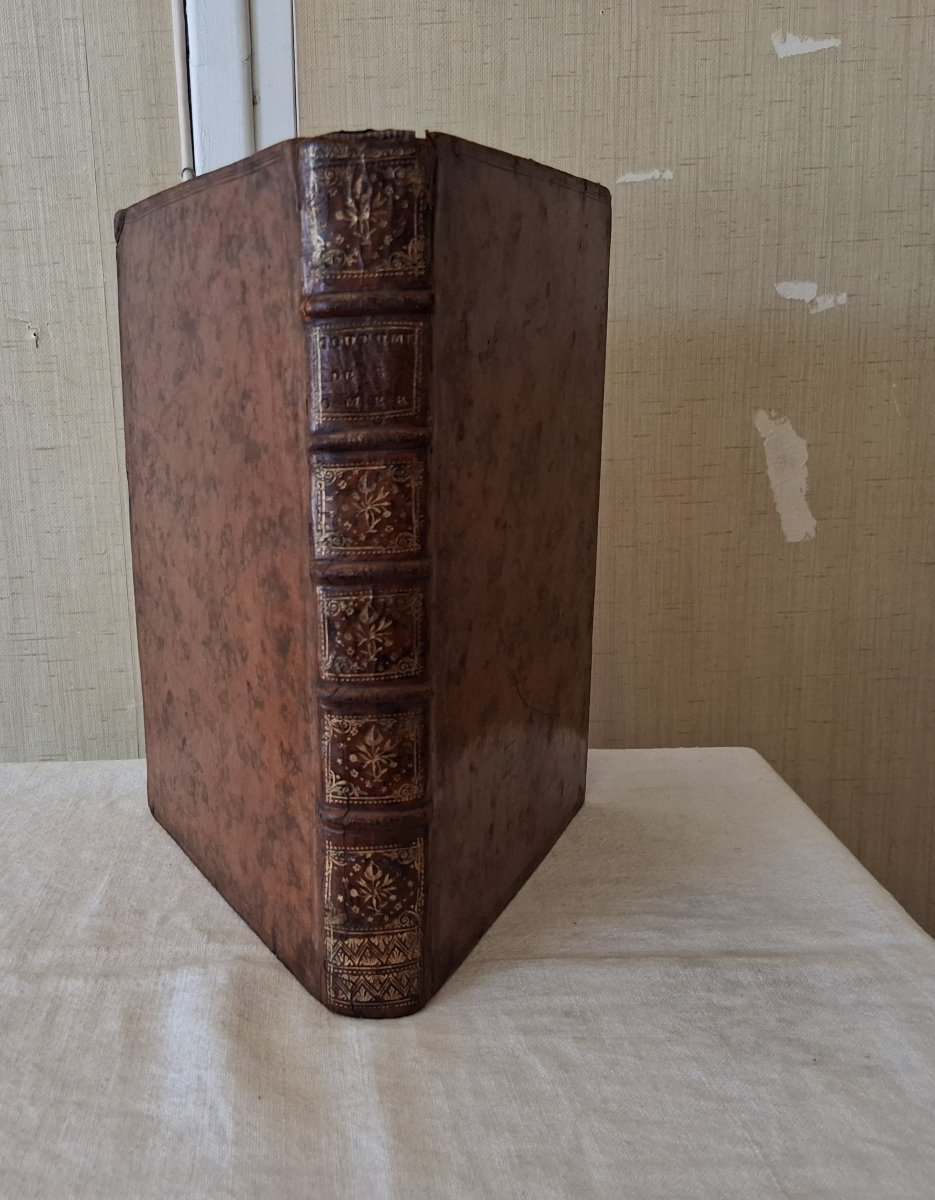 Coutumes locales des bailliages de Saint Omer /  1744-photo-5