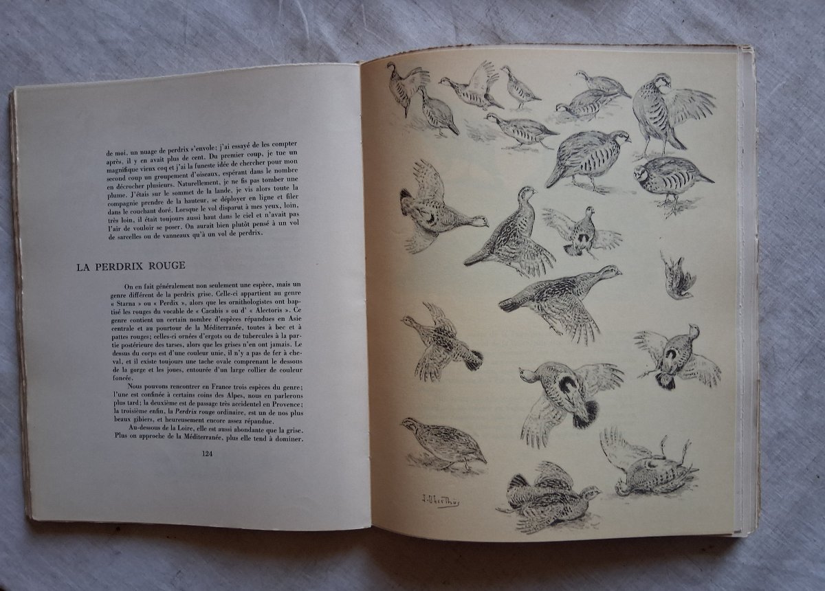 Game Of Our Country  /  J. Oberthur   1936–1941-photo-3