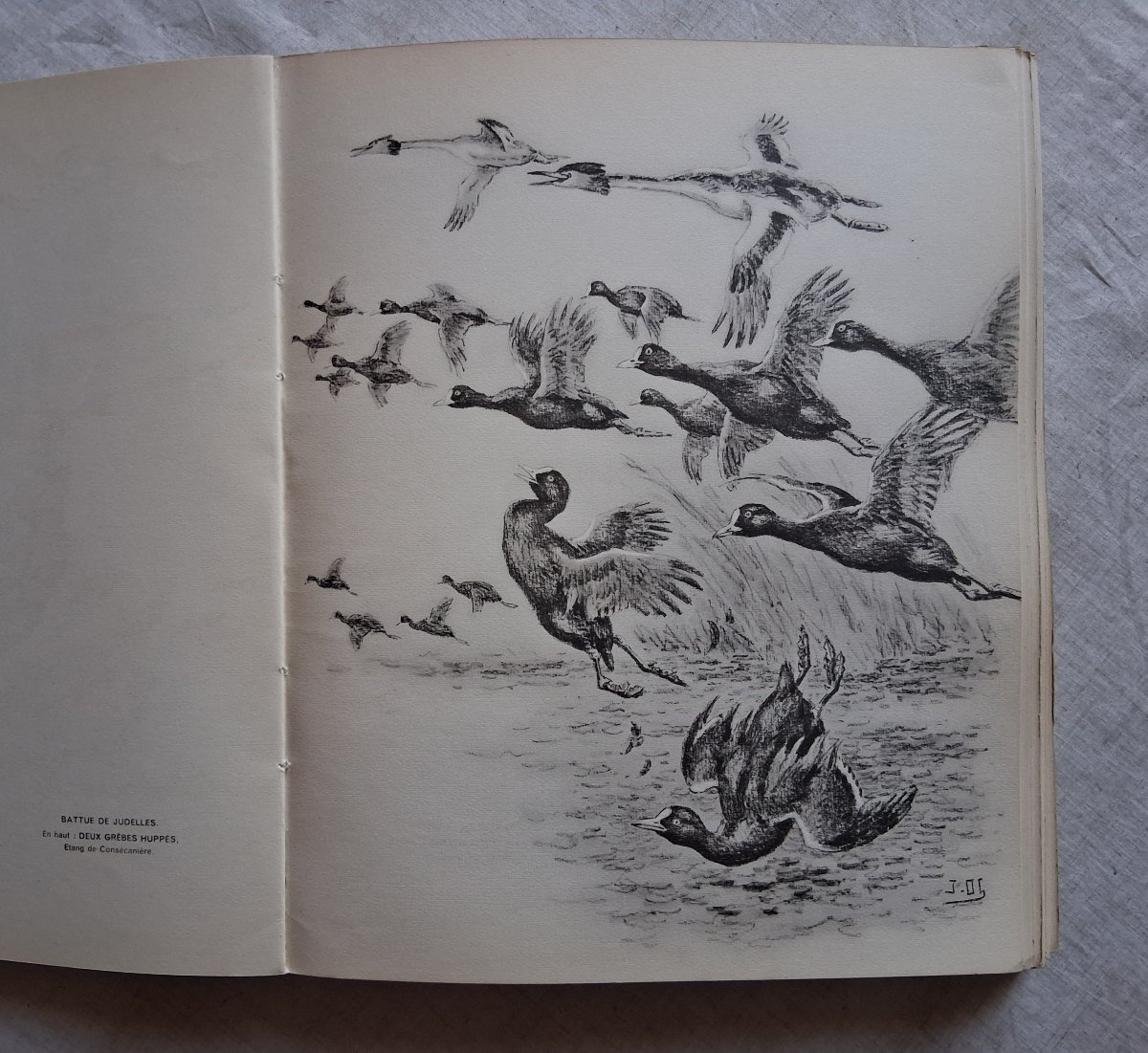 Game Of Our Country  /  J. Oberthur   1936–1941-photo-5