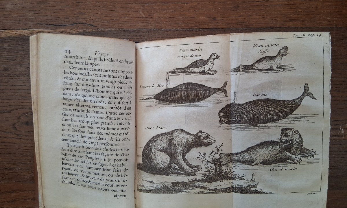 A Voyage To Hudson Bay By Henri Ellis / 1749-photo-1