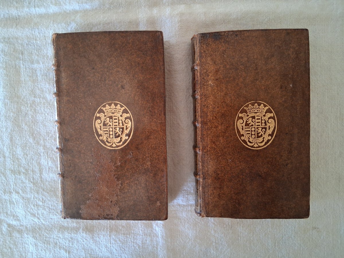 Histoire des Rois de Pologne et du Gouvernement de ce Royaume /  1733-photo-5