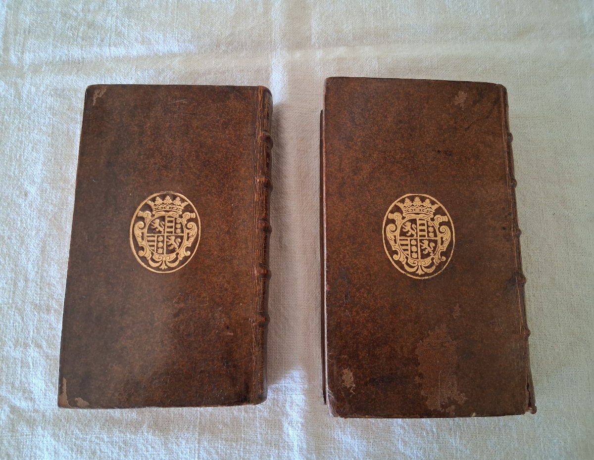 Histoire des Rois de Pologne et du Gouvernement de ce Royaume /  1733-photo-6