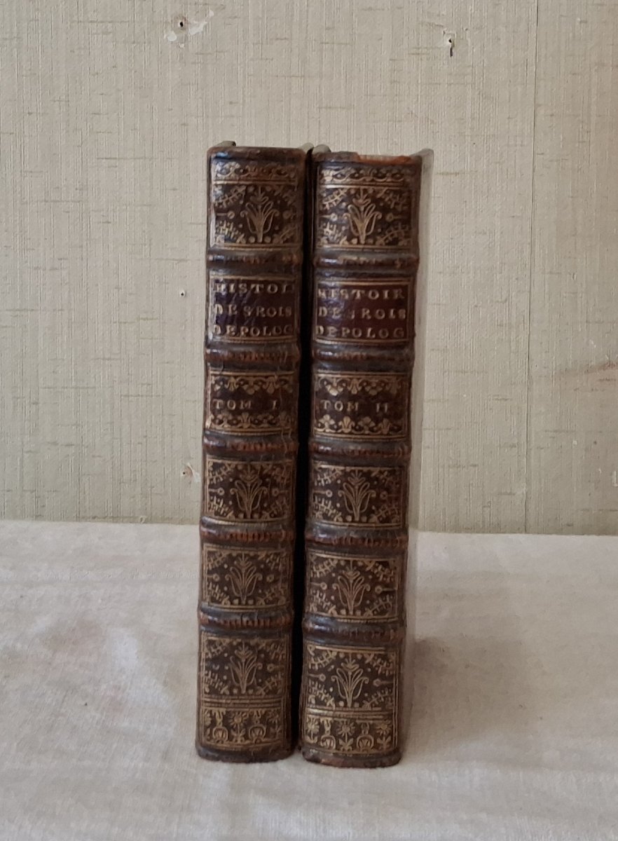 Histoire des Rois de Pologne et du Gouvernement de ce Royaume /  1733