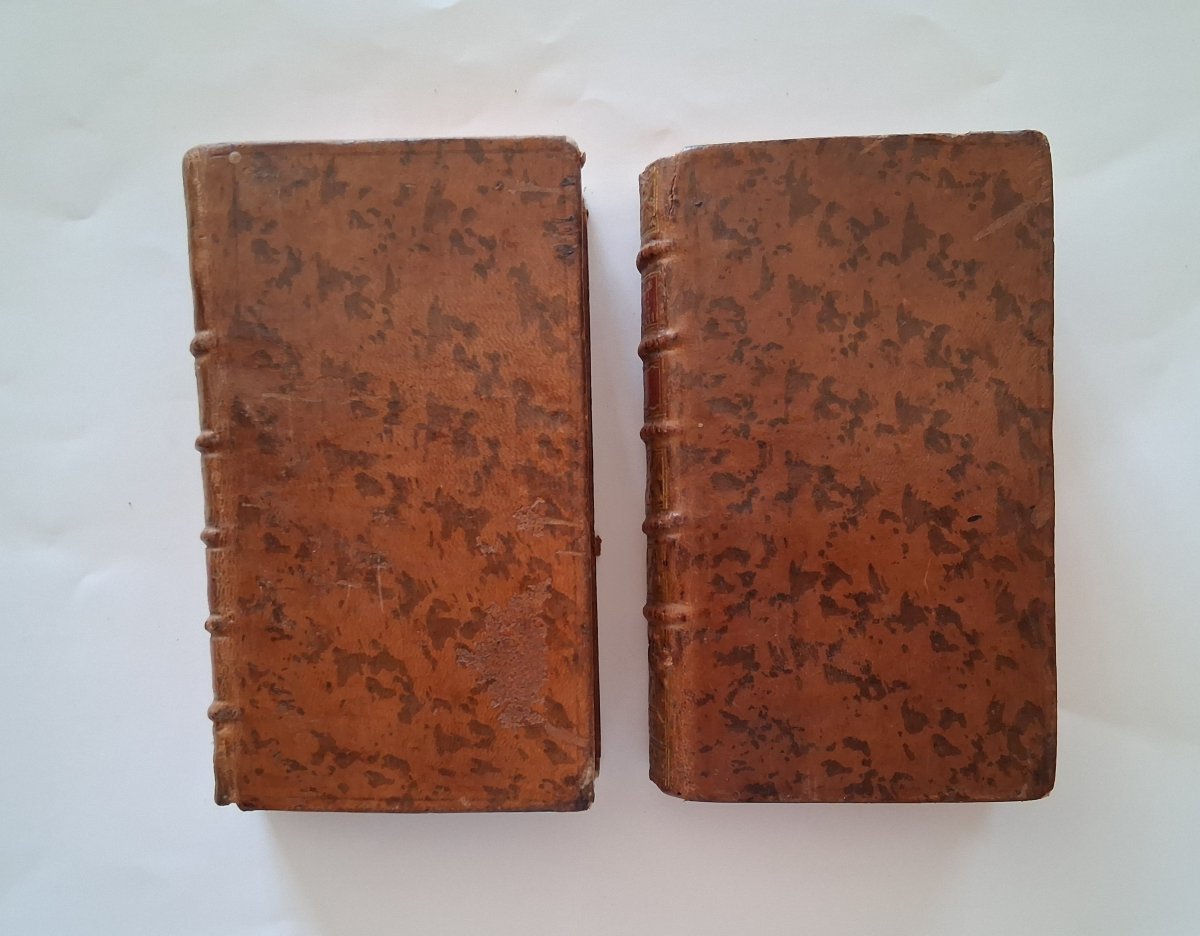 The Life Of Bertrand Du Guesclin By Guyard De Berville  /  1789-photo-8