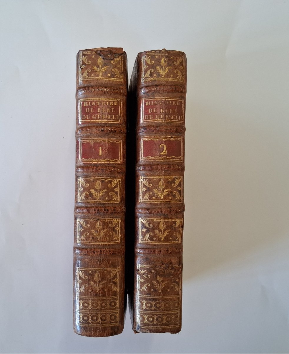 The Life Of Bertrand Du Guesclin By Guyard De Berville  /  1789
