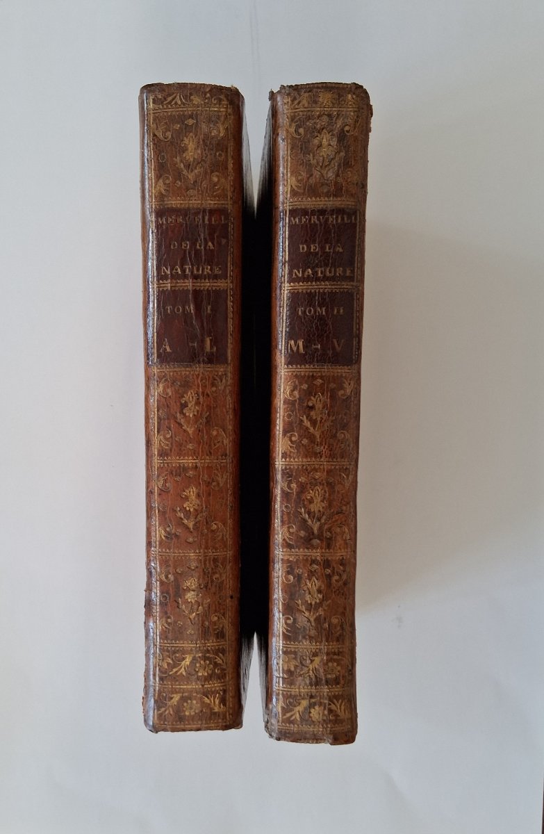 Dictionnaire des merveilles de la nature par Sigaud de la Fond  / 1790