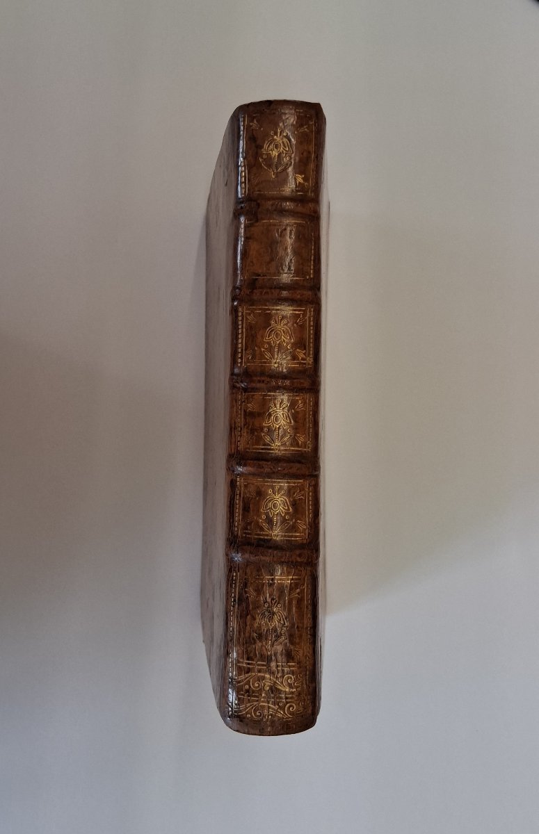 A Picturesque Journey Through The Paris Region  / 1755-photo-7