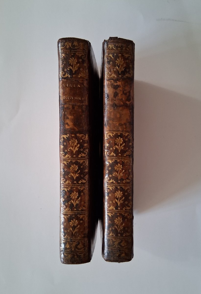 Abrégé chronologique de l'histoire et du droit public d' Allemagne  /  1766