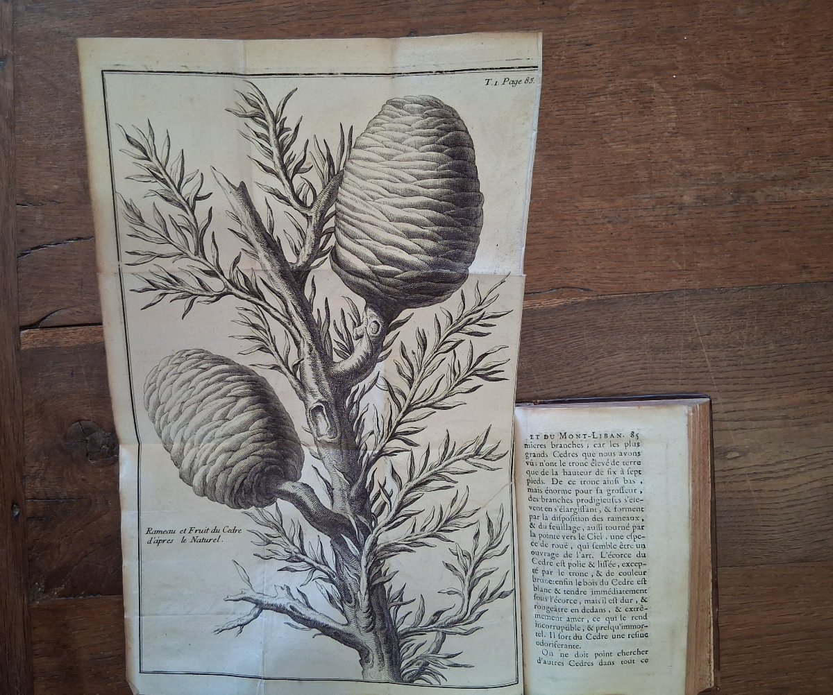 A Journey Through Syria And Mount Lebanon By De La Roque / 1722-photo-1