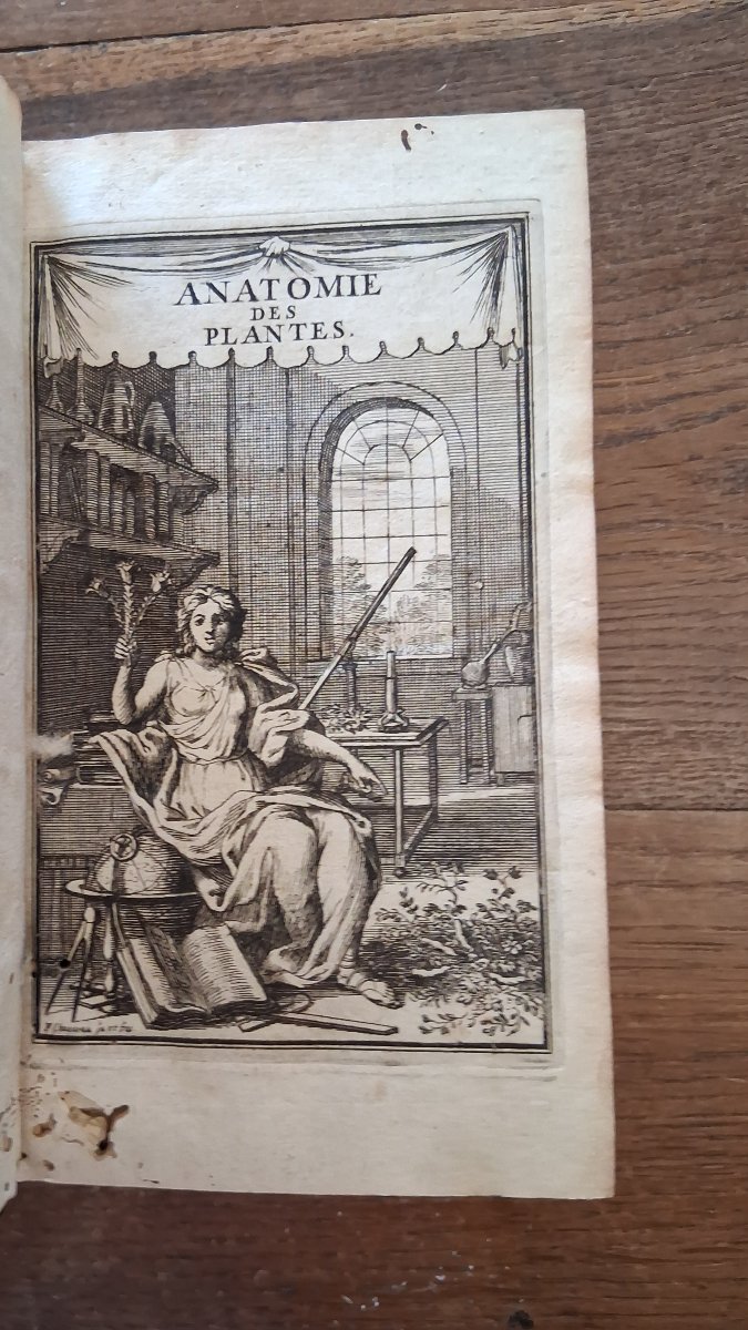 Anatomy Of Plants By Grew  /  1679-photo-2