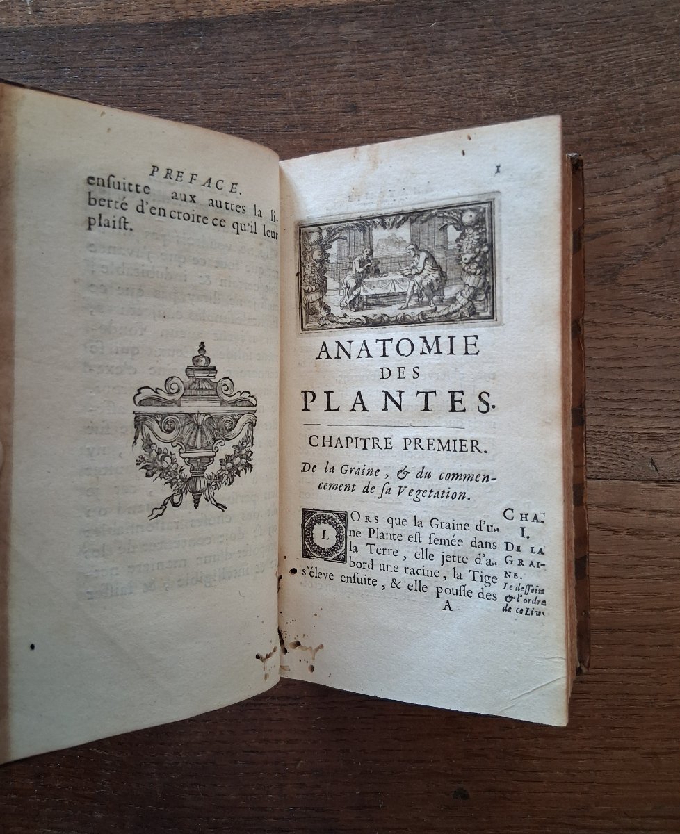 Anatomy Of Plants By Grew  /  1679-photo-3