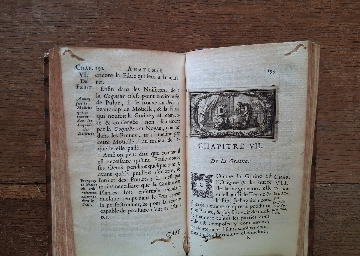 Anatomy Of Plants By Grew  /  1679-photo-4