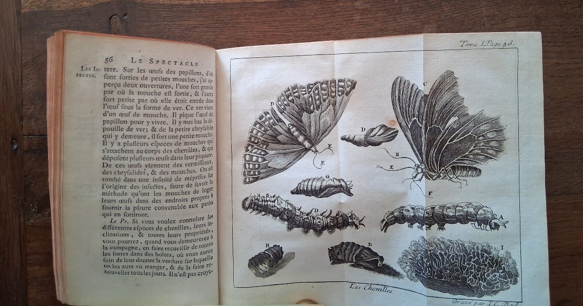 The Spectacle Of Nature By Pluche  Noël Antoine  /  1771-photo-3