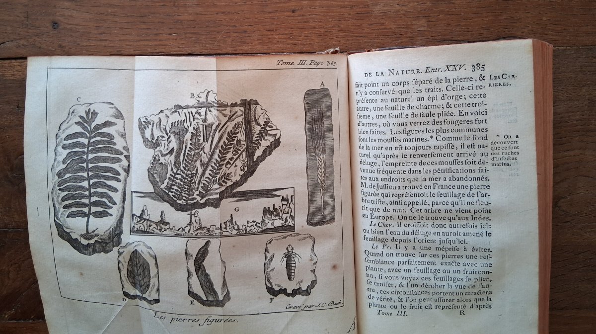 The Spectacle Of Nature By Pluche  Noël Antoine  /  1771-photo-2